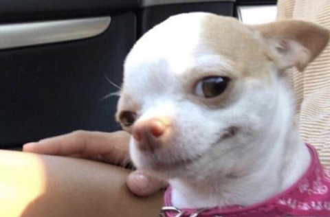 Video leaks dreezydreaa