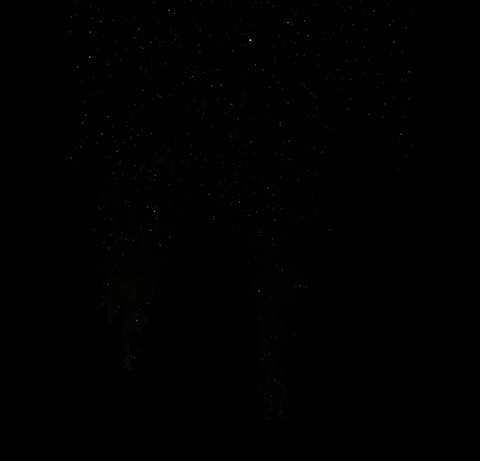 Video leaks ds6789
