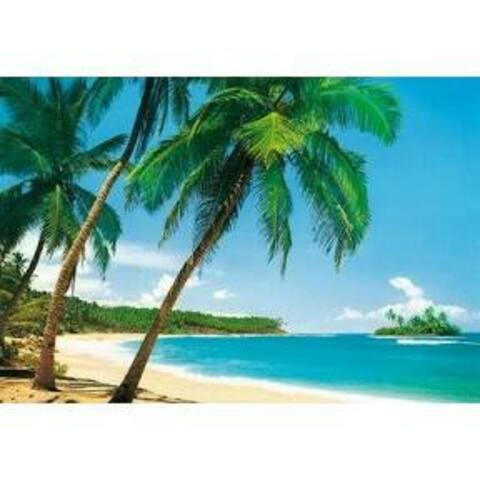 Video leaks dtfcouple_4u