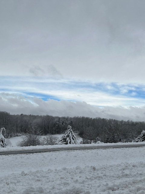 Video leaks dxdominion