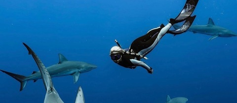 Video leaks eckernicky