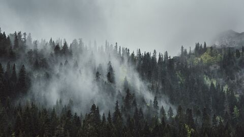 Header of eiddam04