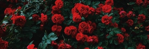 Video leaks eliza.98