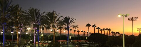 Video leaks ellaorten