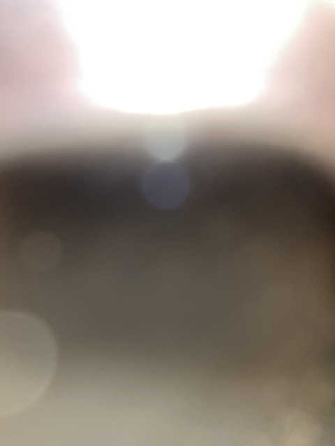 Video leaks elquetecomeentero