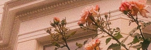 Video leaks emtastic