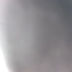 erharda OnlyFans Leak 

 profile picture