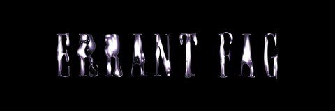 Video leaks errantfag