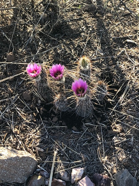 Video leaks ethansteelexxx