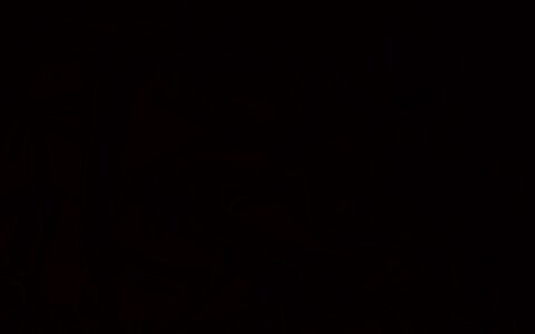 Video leaks evaknight69