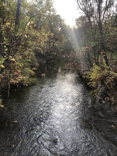 Video leaks evil_barajas