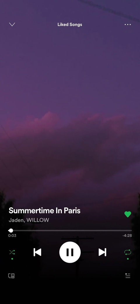 Video leaks evinhammond