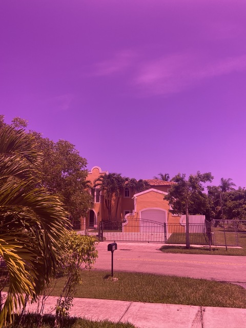 Video leaks exoticpeachesvip