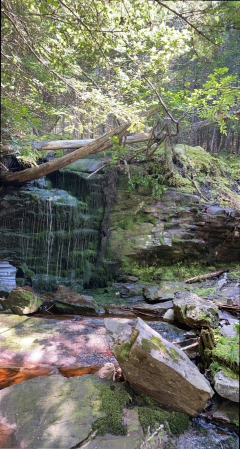 Video leaks eyecandi.xxx