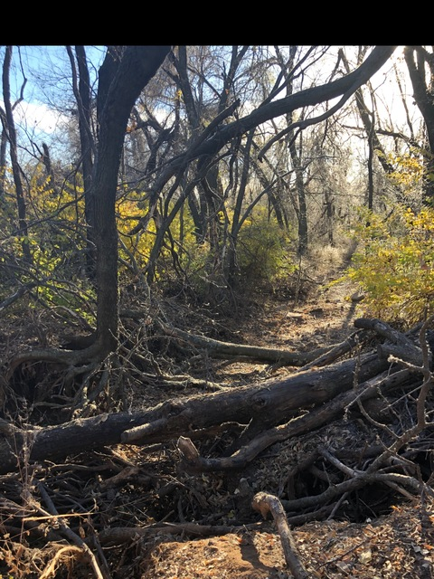 Video leaks faeriepvnk