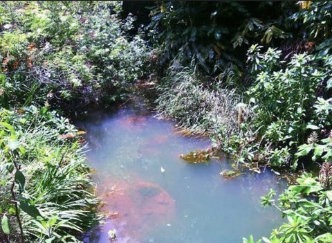 Video leaks fairilyfrancesfanticeez