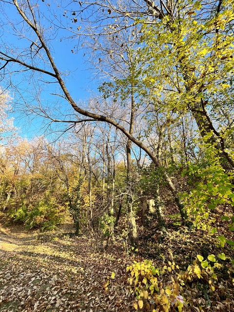 Video leaks fairymay2319