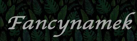 Header of fancynamek