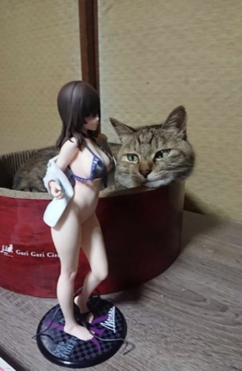 Video leaks fayefayeplays