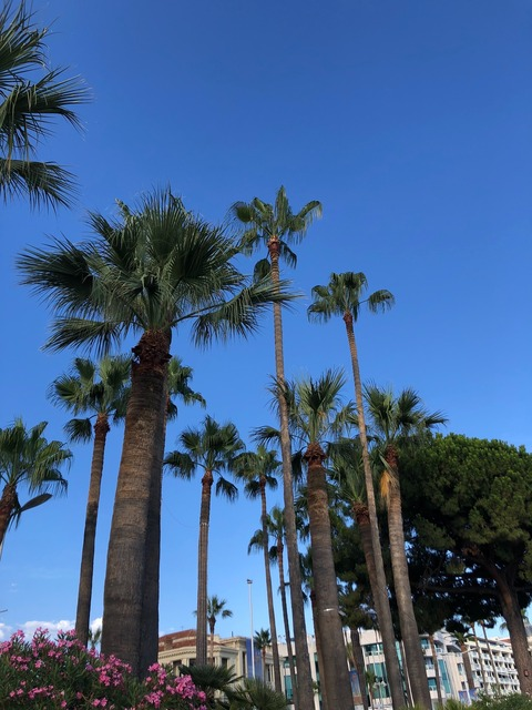 Video leaks feet.love20