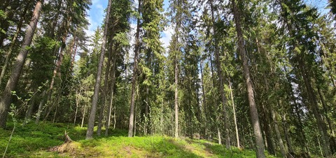 Video leaks finnishnymph