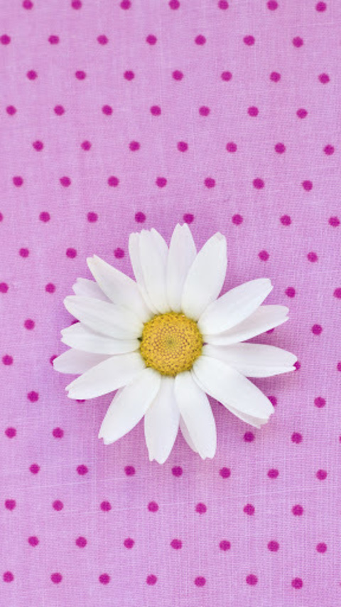 Header of fionassecret