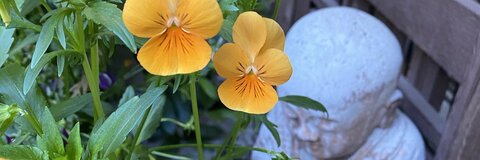 Video leaks firstcontactnow