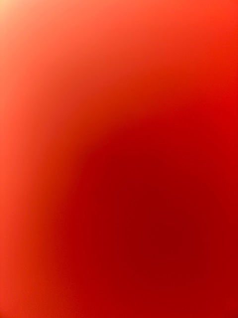 Video leaks fitnorway
