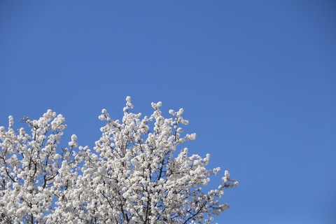 Video leaks flowerplayboi