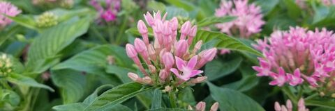 Video leaks fluffy.wuffle