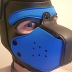 foxpupray (🦊FoxPupRay🦊) free OnlyFans Leaked Videos and Pictures 

 profile picture