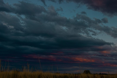 Video leaks frankie_myer