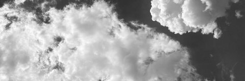 Video leaks freakinchicken