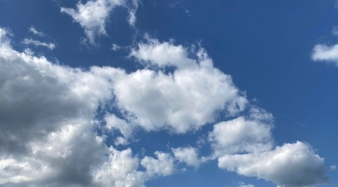 Video leaks freddieprior