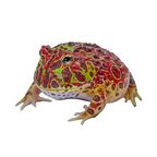 froggo123 OnlyFans Leaks 

 profile picture