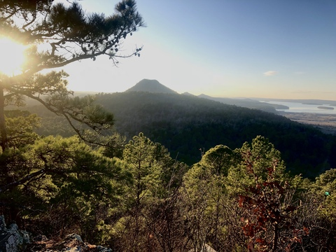 Video leaks frute_brute