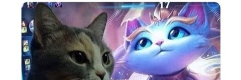 Video leaks fxckqueensy