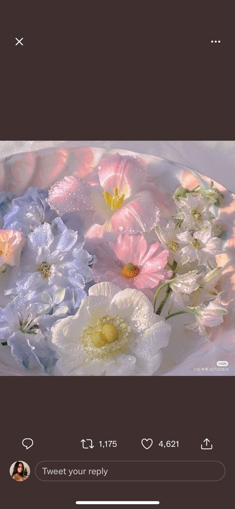 Video leaks gaiaembodiment