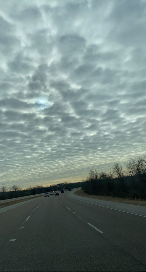 Video leaks getschlongd