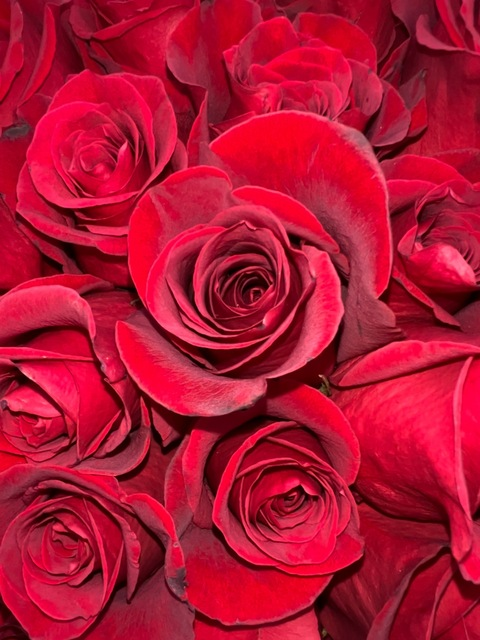 Video leaks giasweets