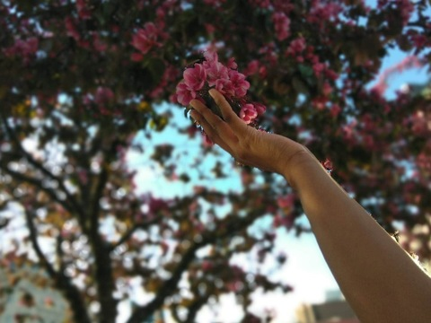 Video leaks gigi_leigh