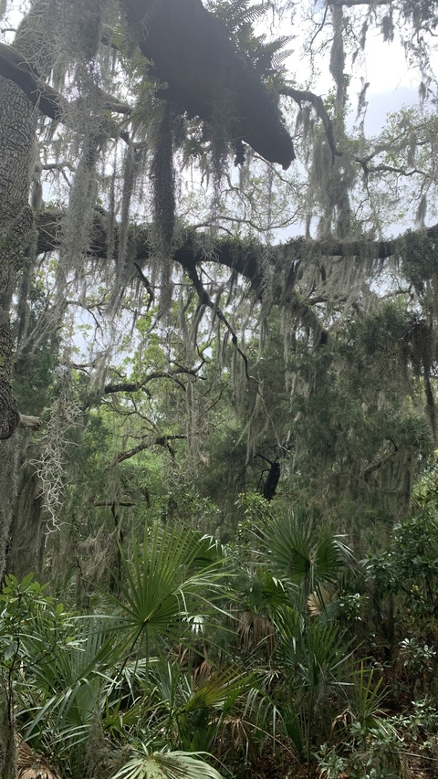 Video leaks gilliangilesfwb