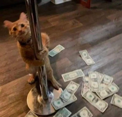 Video leaks ginger.mommy