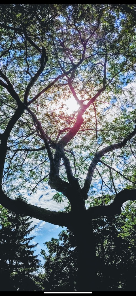 Video leaks gingersaurus