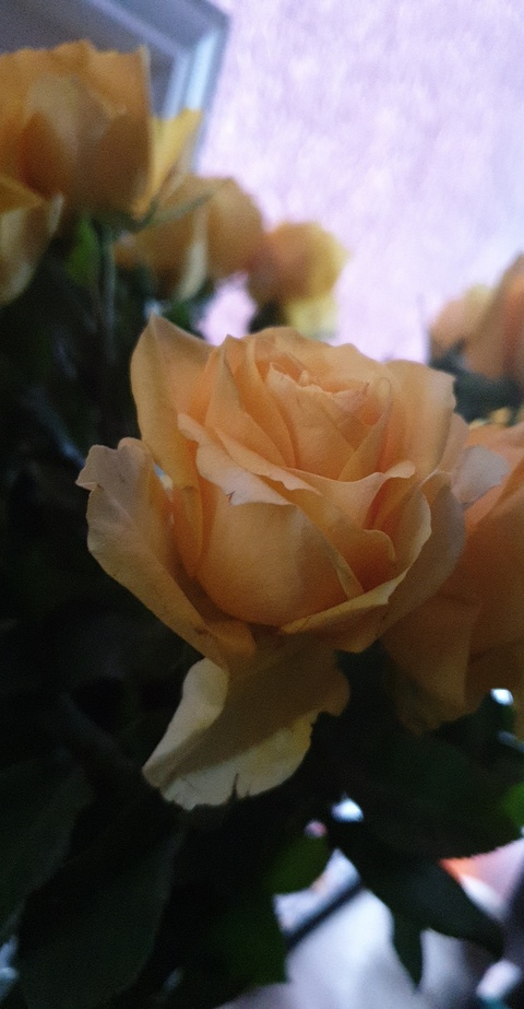 Video leaks gingertemptress2000