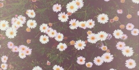 Video leaks girls.r.us