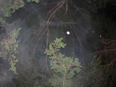 Video leaks gloomybabyfree