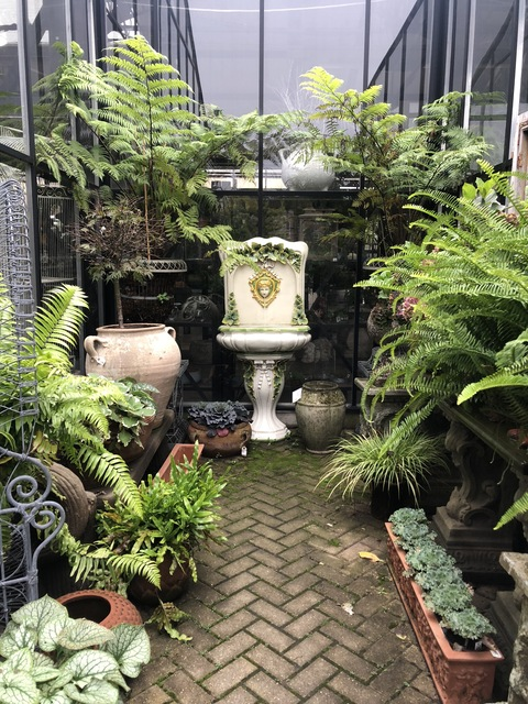 Video leaks glucoseslut