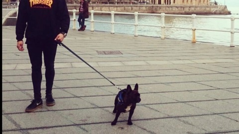 Video leaks gonzalez_jairo