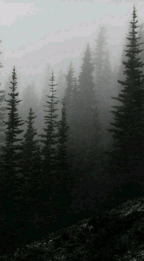 Video leaks gothgirlsadistic